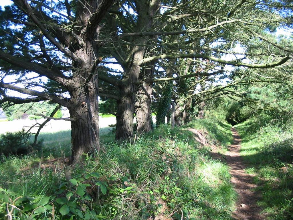 En Bretagne, Villa De 2 A 8 Pers , Meuble De Tourisme 3 Etoiles Nichee Dans Un Ecrin De Verdure A 2500M De La Plage Ploumilliau Exterior foto